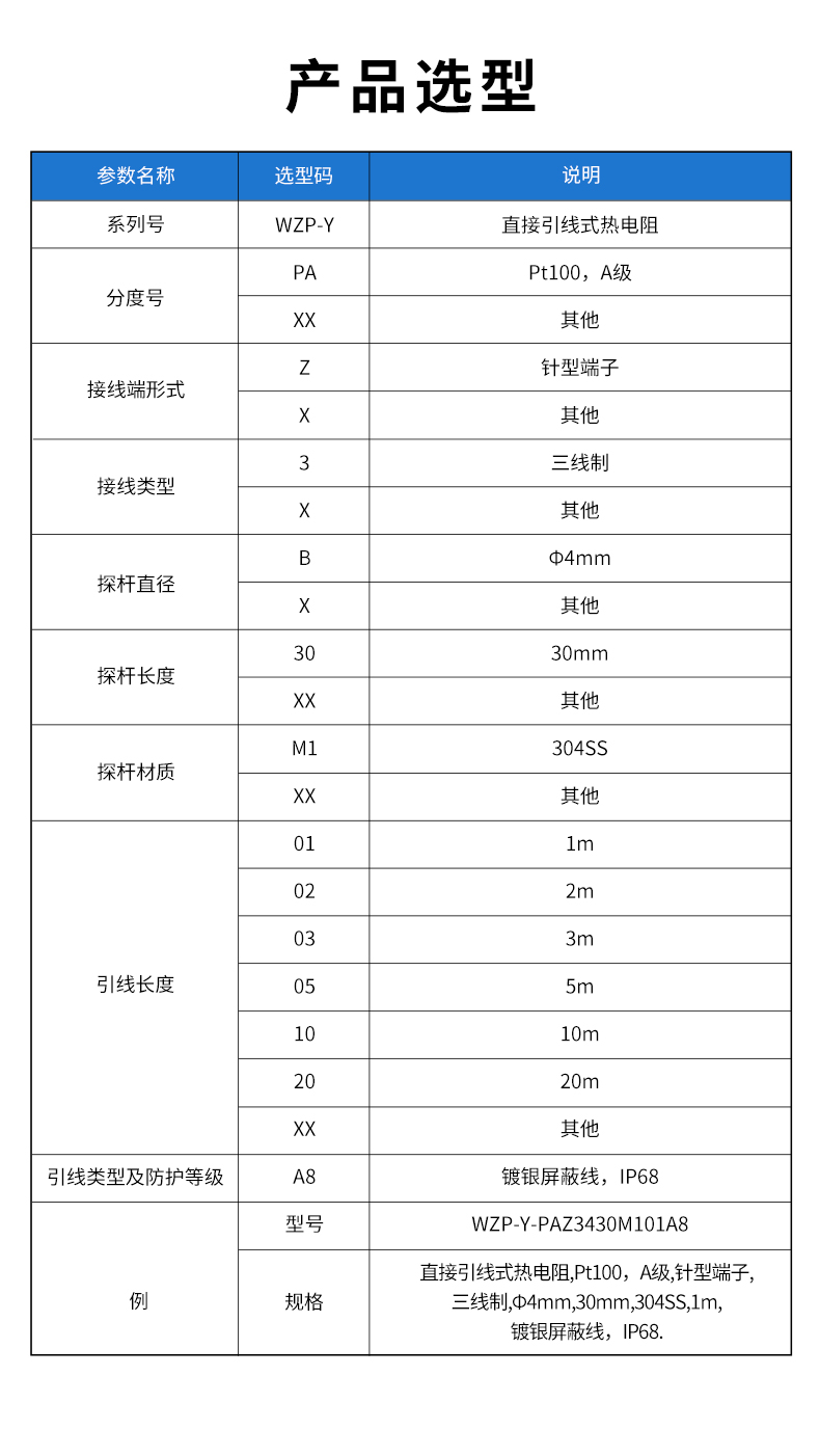 WZP-Y-直接引線式熱電阻.jpg