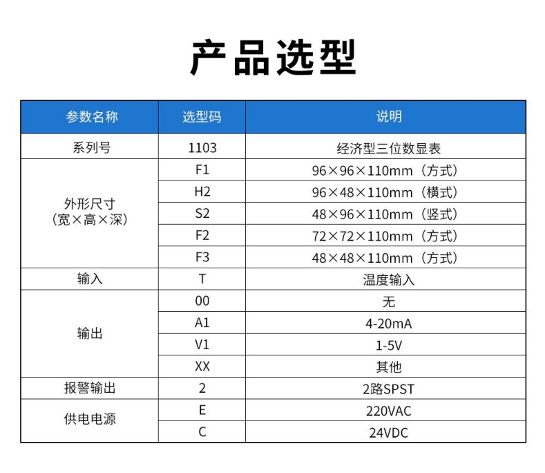 2、1103經(jīng)濟(jì)型三位顯示儀.jpg